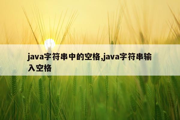 java字符串中的空格,java字符串输入空格
