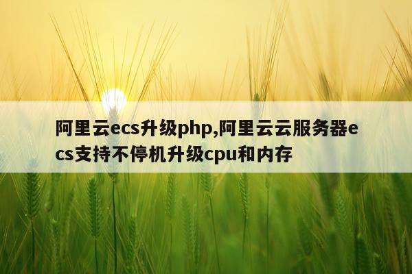 阿里云ecs升级php,阿里云云服务器ecs支持不停机升级cpu和内存