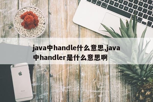 java中handle什么意思,java中handler是什么意思啊