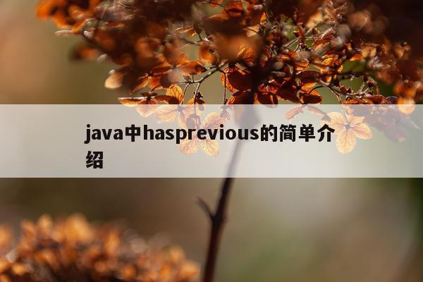 java中hasprevious的简单介绍