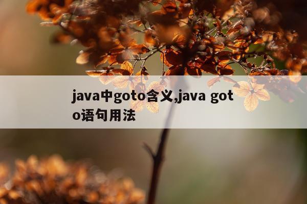 java中goto含义,java goto语句用法