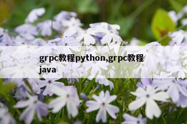 grpc教程python,grpc教程 java
