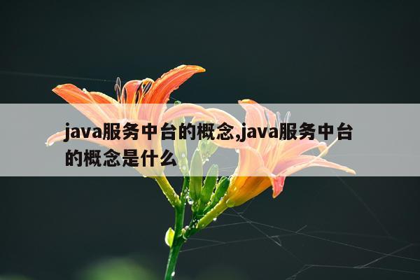 java服务中台的概念,java服务中台的概念是什么