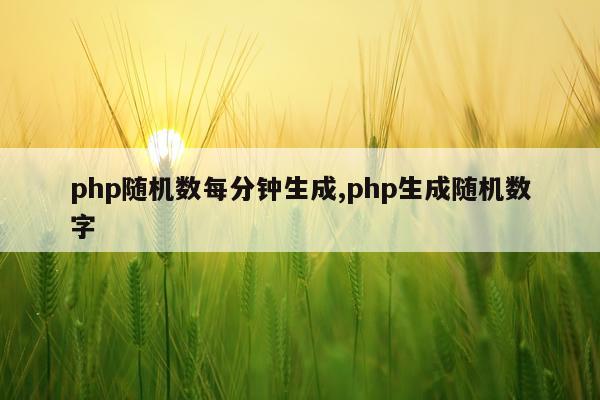php随机数每分钟生成,php生成随机数字