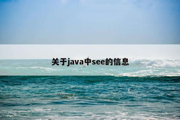 关于java中see的信息