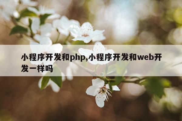 小程序开发和php,小程序开发和web开发一样吗