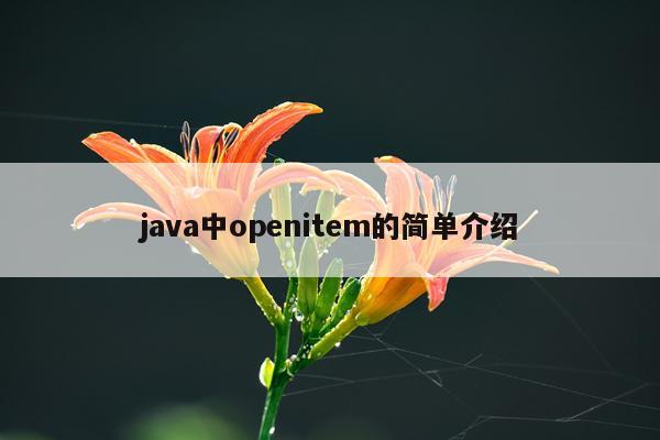 java中openitem的简单介绍