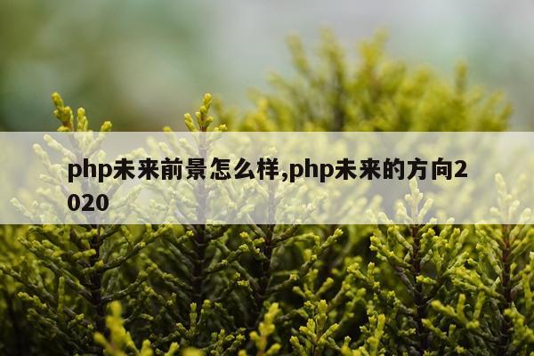 php未来前景怎么样,php未来的方向2020