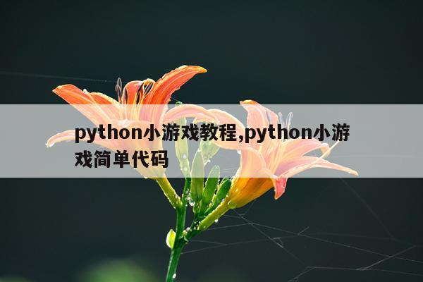python小游戏教程,python小游戏简单代码