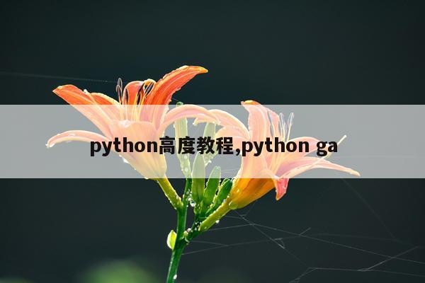 python高度教程,python ga