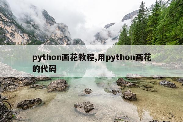 python画花教程,用python画花的代码