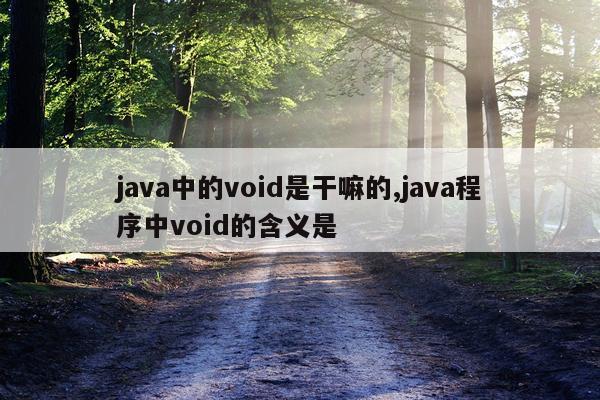java中的void是干嘛的,java程序中void的含义是