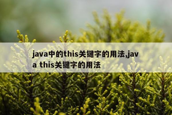java中的this关键字的用法,java this关键字的用法