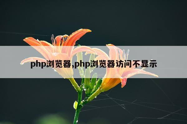 php浏览器,php浏览器访问不显示