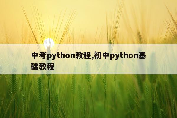 中考python教程,初中python基础教程