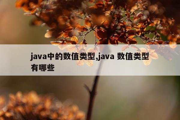 java中的数值类型,java 数值类型有哪些