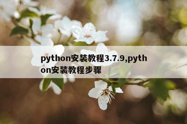 python安装教程3.7.9,python安装教程步骤