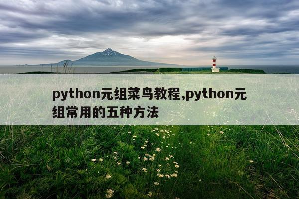 python元组菜鸟教程,python元组常用的五种方法