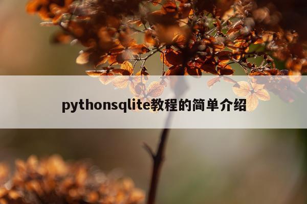 pythonsqlite教程的简单介绍