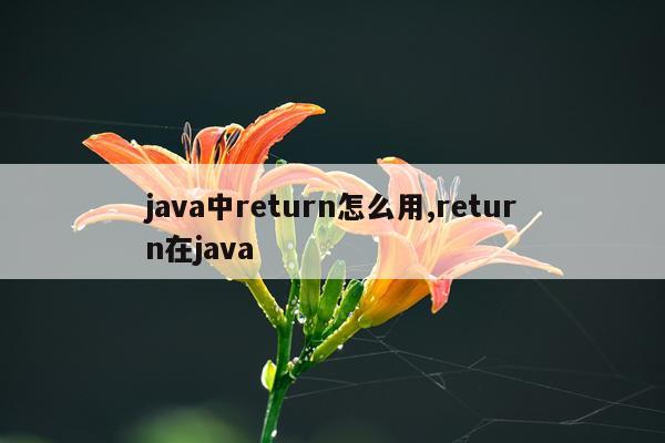 java中return怎么用,return在java