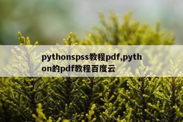 pythonspss教程pdf,python的pdf教程百度云