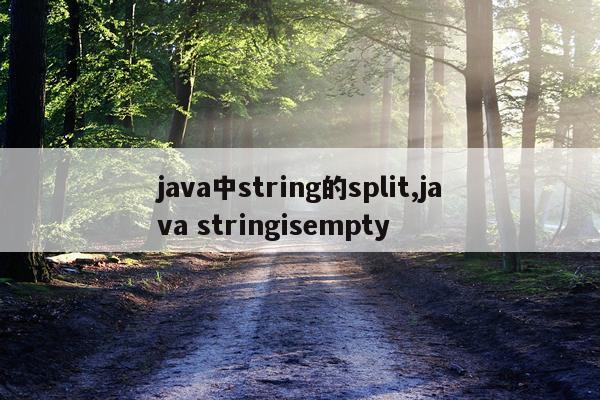 java中string的split,java stringisempty