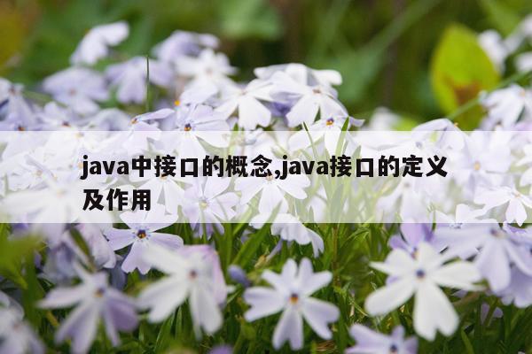 java中接口的概念,java接口的定义及作用