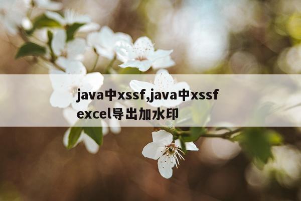 java中xssf,java中xssf excel导出加水印