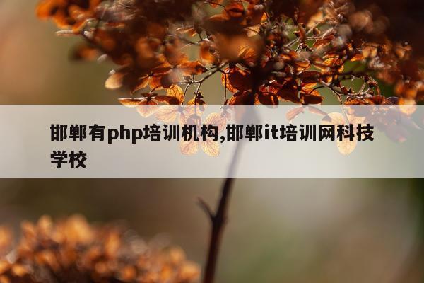 邯郸有php培训机构,邯郸it培训网科技学校