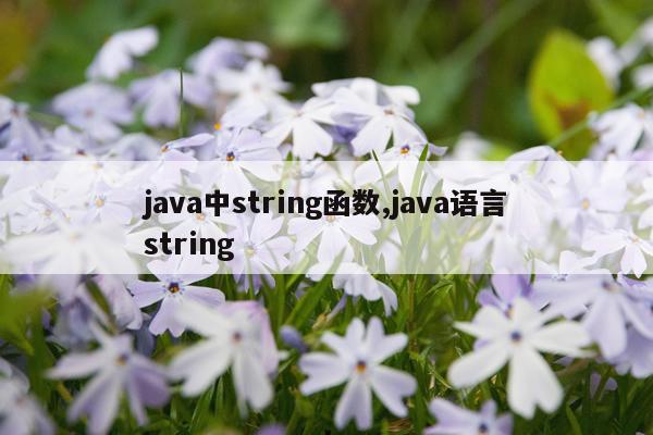 java中string函数,java语言string