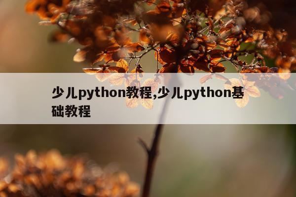 少儿python教程,少儿python基础教程