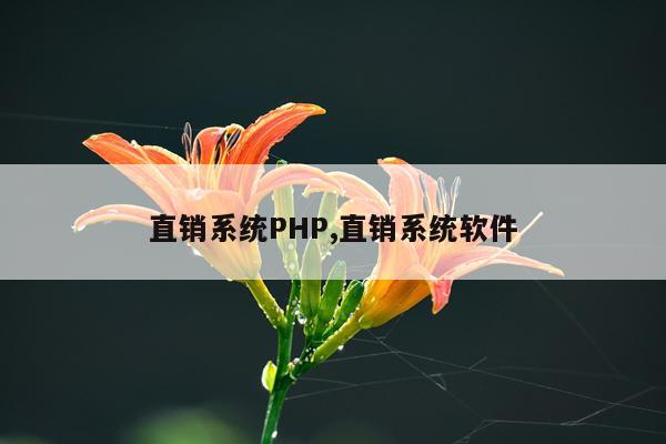 直销系统PHP,直销系统软件