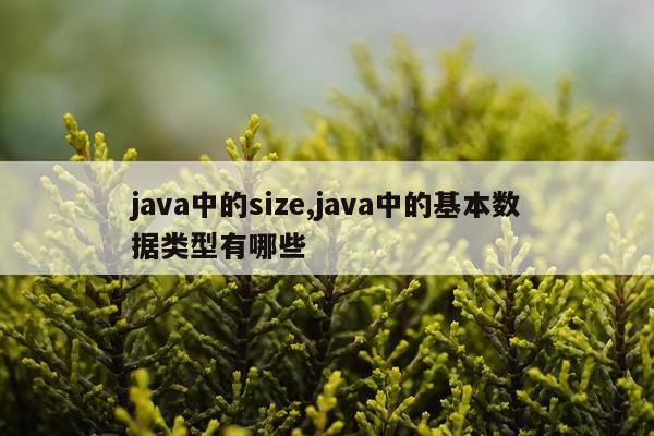 java中的size,java中的基本数据类型有哪些