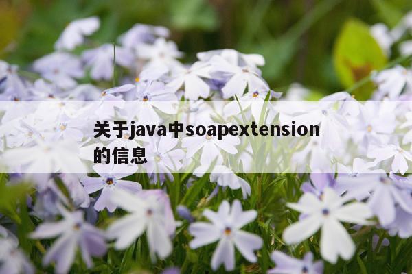 关于java中soapextension的信息