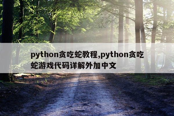 python贪吃蛇教程,python贪吃蛇游戏代码详解外加中文