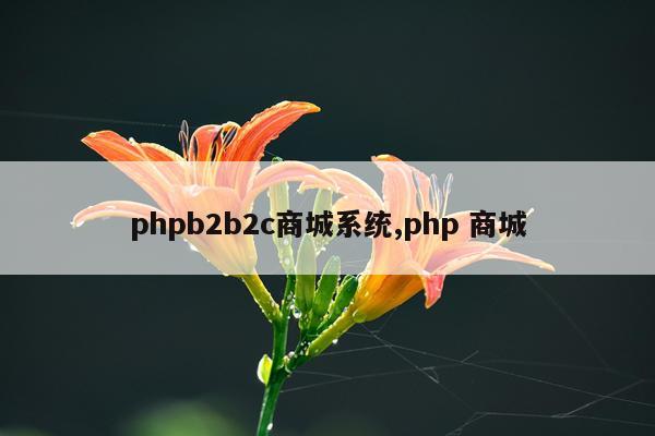 phpb2b2c商城系统,php 商城