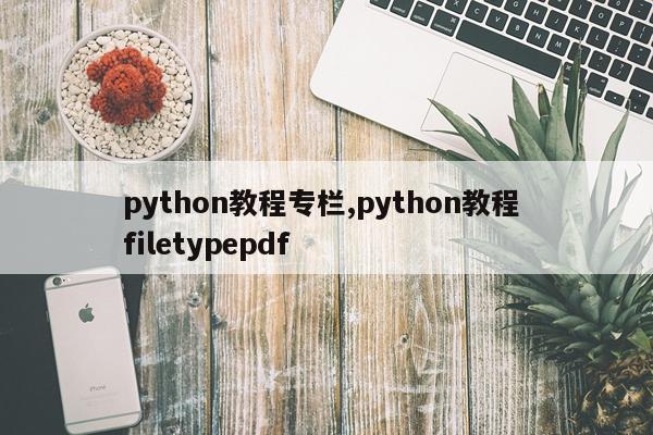 python教程专栏,python教程 filetypepdf