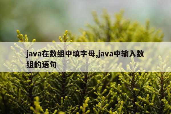 java在数组中填字母,java中输入数组的语句
