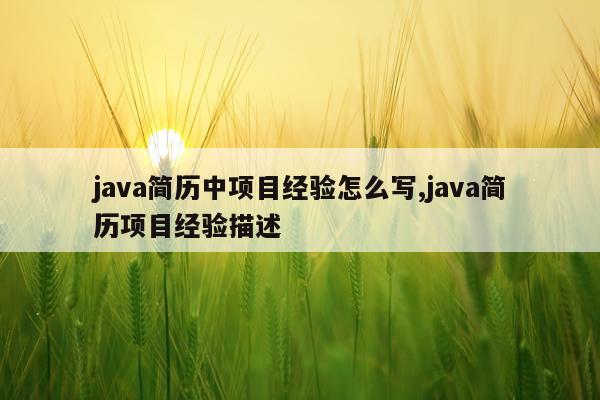 java简历中项目经验怎么写,java简历项目经验描述