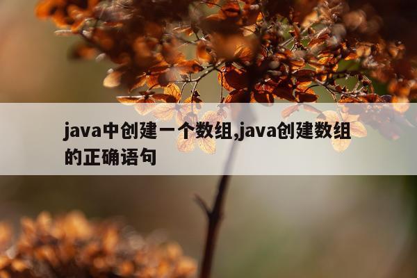 java中创建一个数组,java创建数组的正确语句