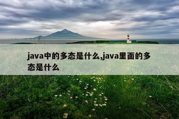 java中的多态是什么,java里面的多态是什么