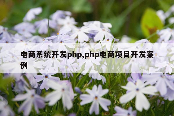 电商系统开发php,php电商项目开发案例