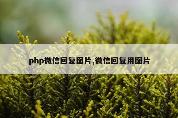 php微信回复图片,微信回复用图片