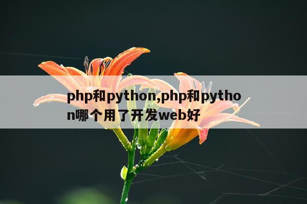 php和python,php和python哪个用了开发web好