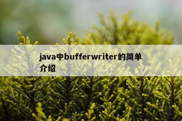java中bufferwriter的简单介绍
