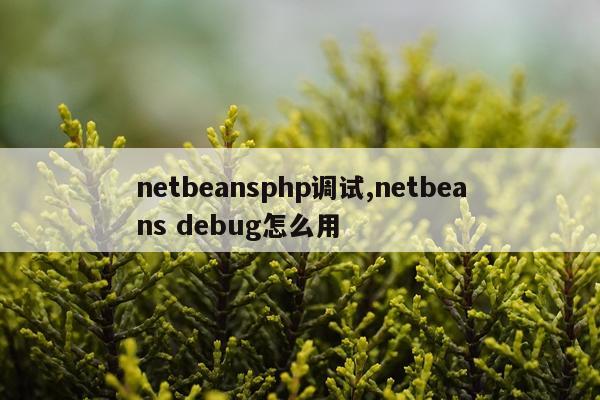 netbeansphp调试,netbeans debug怎么用
