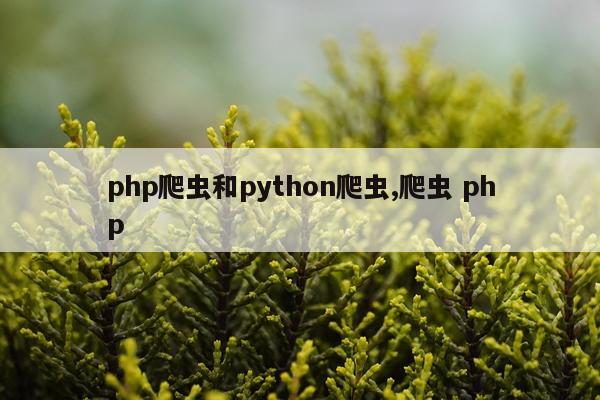 php爬虫和python爬虫,爬虫 php
