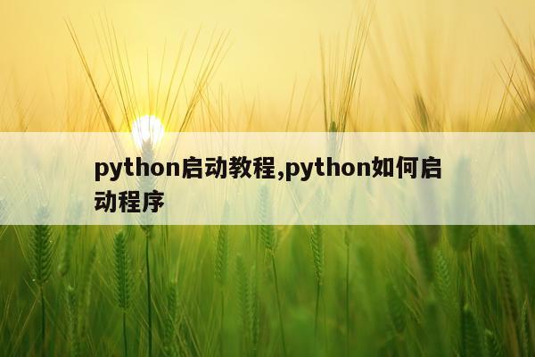 python启动教程,python如何启动程序