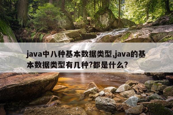 java中八种基本数据类型,java的基本数据类型有几种?都是什么?