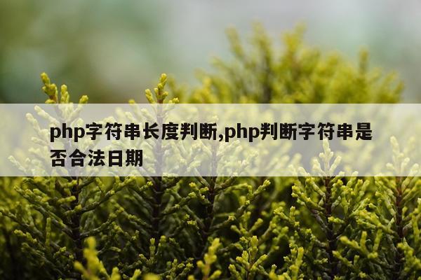 php字符串长度判断,php判断字符串是否合法日期